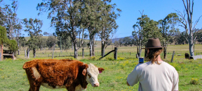 Hunter Valley Countryside Day Tour with River Swim & Farm BBQ