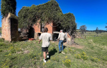 Newy Tour Co12