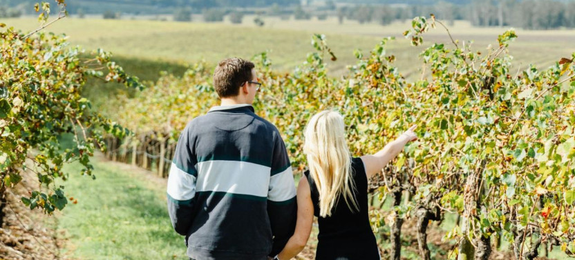 Private Hunter Valley Wine Tour Departing From Newcastle