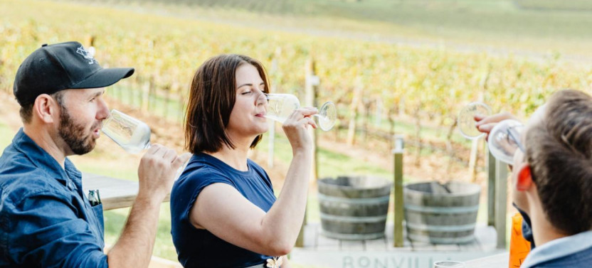 Private Hunter Valley Wine Tour Departing From Newcastle