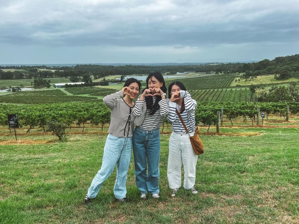 Newy Tour Co