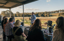 Newy Tour Co4