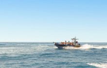 P4Y Services, Lda8