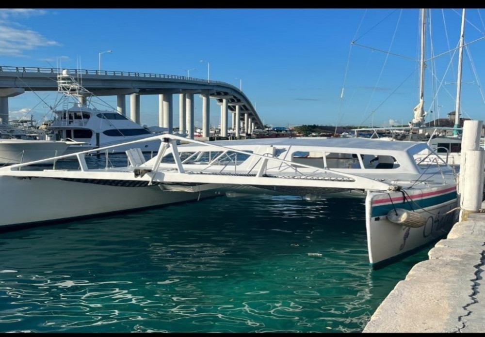 Seahorse Sailing Adventures