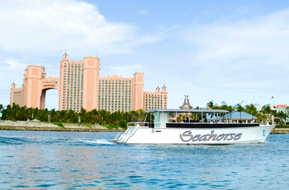 Seahorse Sailing Adventures