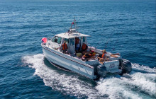 P4Y Services, Lda25