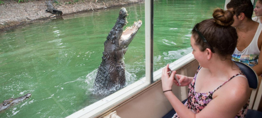 Kuranda: Scenic Rail, Coach and Hartley's Crocodile Adventure (CNS)
