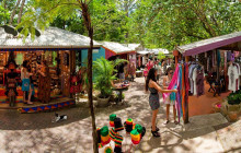 Down Under Tours6