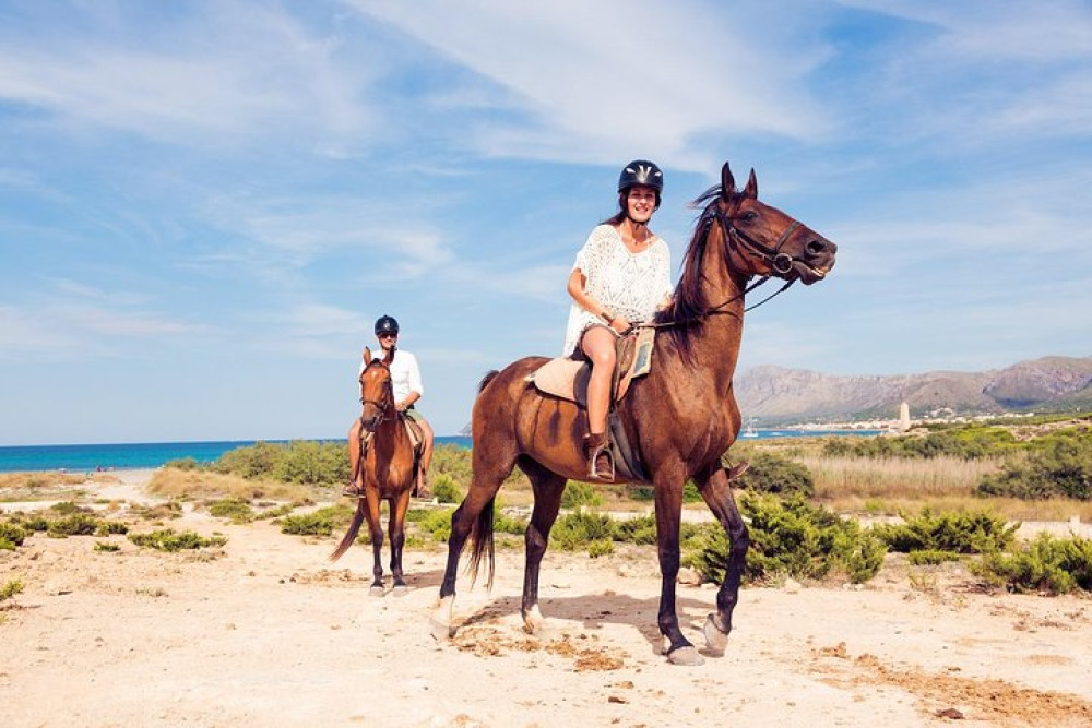 Awaken to Paros: A Scenic Morning Horseback Ride
