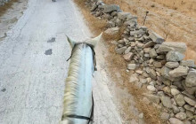 MTM TOURISM GREECE8
