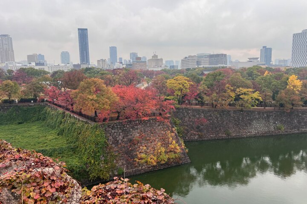 Secret Spots & Local Treasures of Osaka Small Group Tour