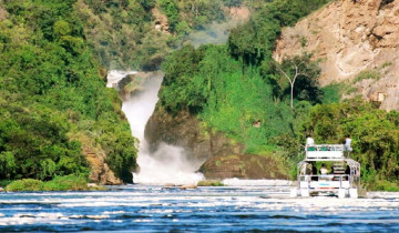 A picture of 7 Day Murchison Falls, Kibale, and Queen Elizabeth National Park Safari