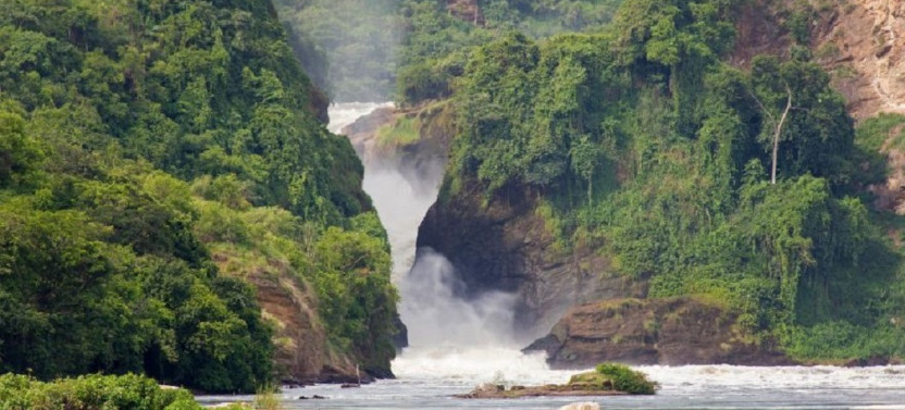 6 Day Murchison Falls and Queen Elizabeth National Park Safari
