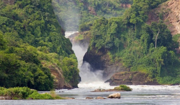 A picture of 6 Day Murchison Falls and Queen Elizabeth National Park Safari