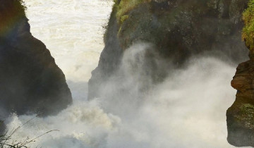 A picture of 4 Day Murchison Falls Safari and Chimpanzee Trekking