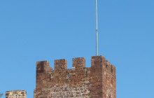 P4Y Services, Lda4