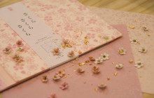 Contents Like LLC7