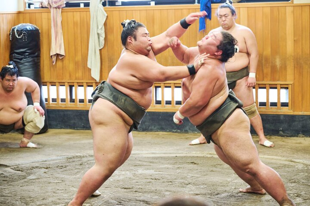 Sumo Morning Practice Viewing Tour At A Real Stable