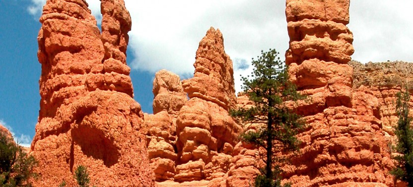 Bryce Canyon & Zion Day Tour from Las Vegas