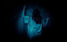 Witches Brew Tours1