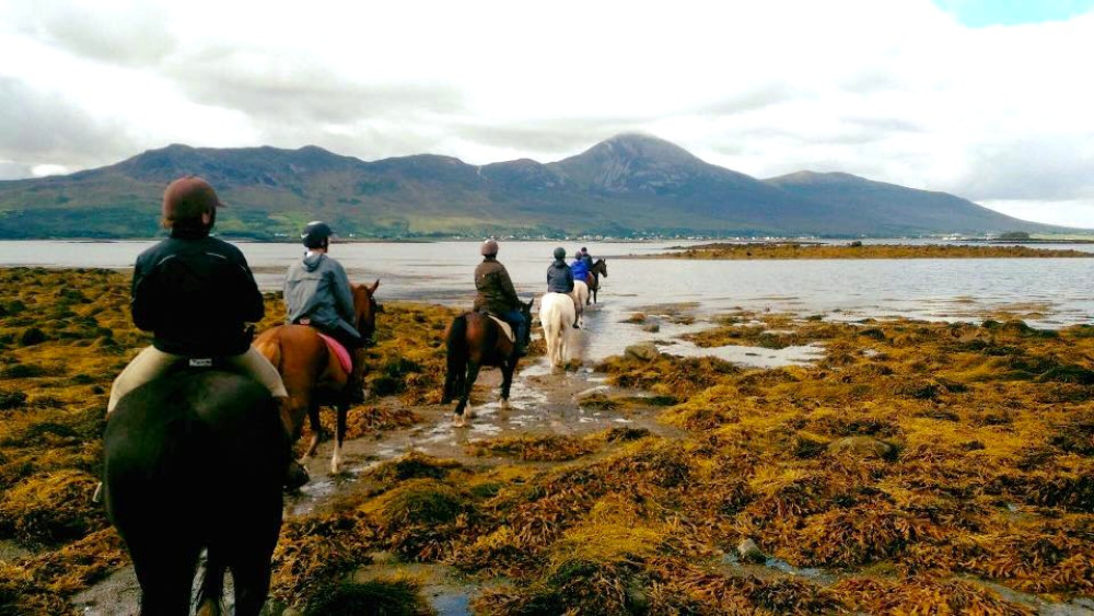 Beach & Countryside Horse Riding Outside Westport
