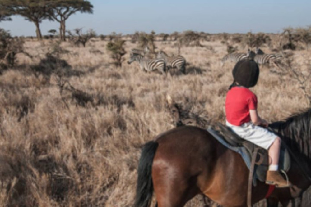 Aquila Horseback Safari and Wine Tasting Experience