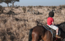 Batende Safari & Tours1