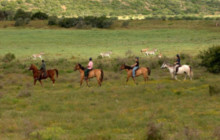 Batende Safari & Tours2