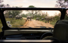 Batende Safari & Tours3