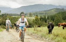Batende Safari & Tours4