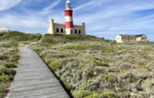 Batende Safari & Tours7