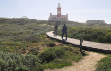 Batende Safari & Tours9