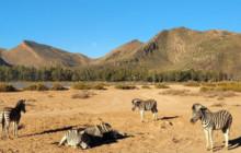 Batende Safari & Tours1