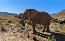 Batende Safari & Tours9