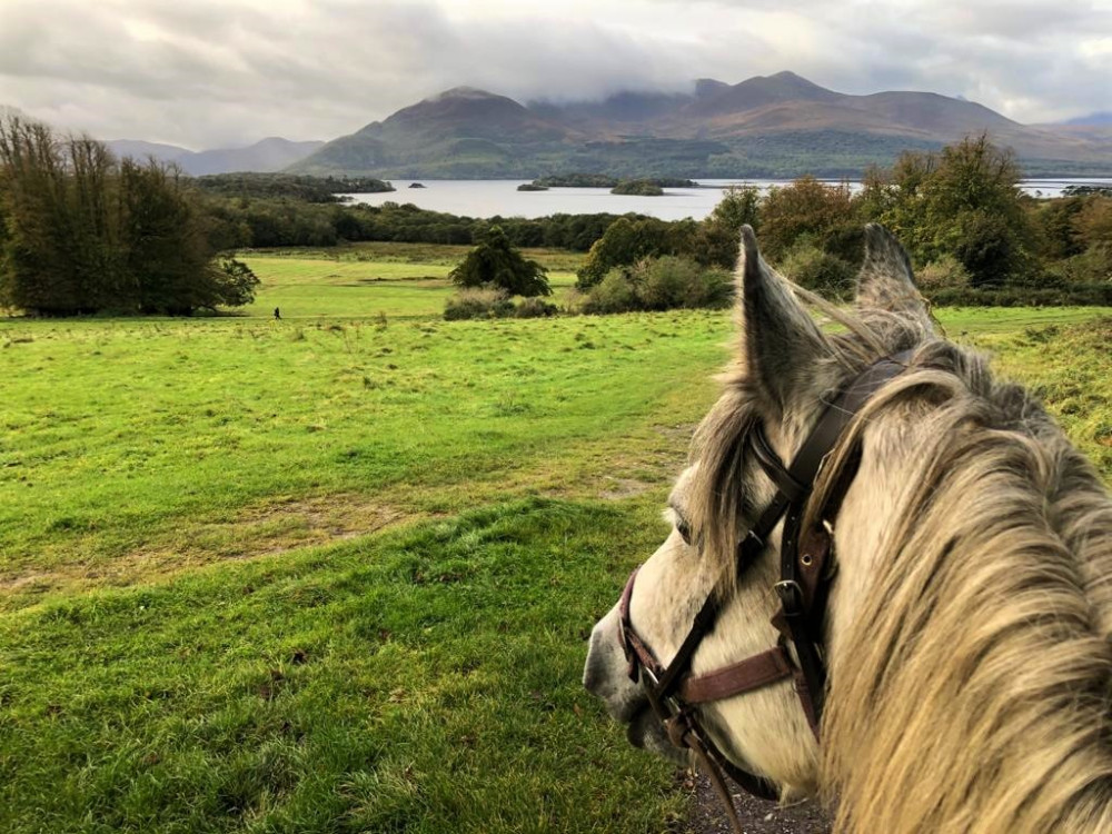 Guided Killarney National Park Horseback Ride - 2 Hours