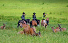 Ireland Wild Escapes3