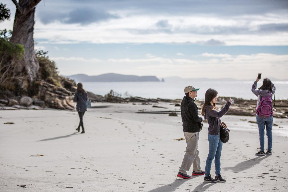 Bruny Island Safaris