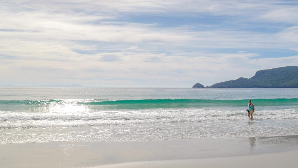 Bruny Island Safaris