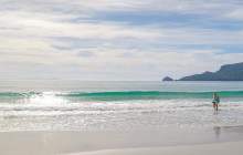 Bruny Island Safaris16