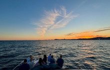 Gotland Charter19