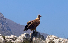 Adventure Crete6