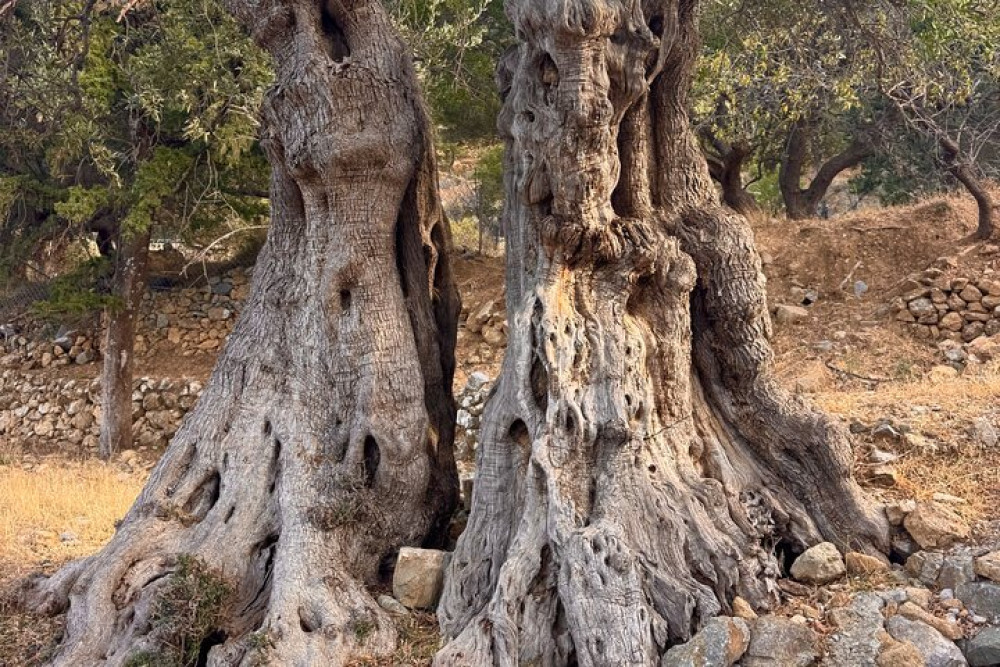 Adventure Crete