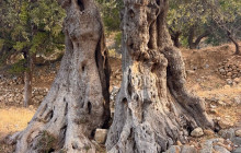 Adventure Crete17
