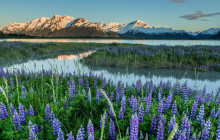 Alaska Photo Treks1