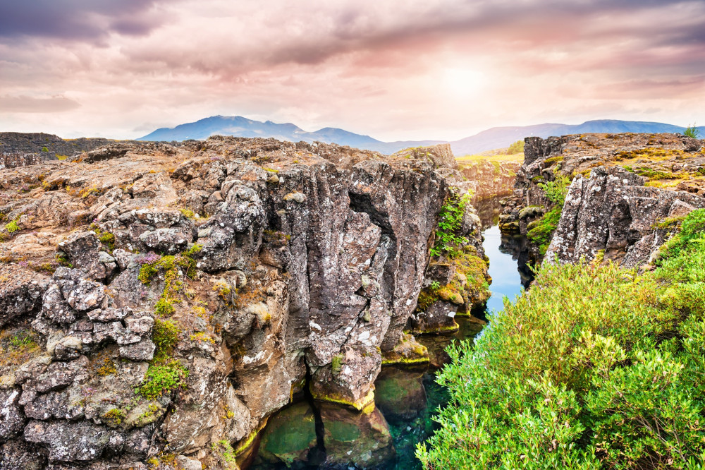Golden Circle Day Tour with Local Surprise
