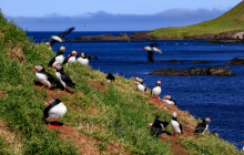 Magic Iceland Travel19