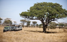 The Uniques Tanzania1