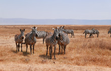 The Uniques Tanzania2