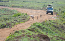 The Uniques Tanzania11