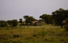The Uniques Tanzania15